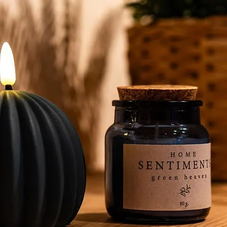 Zentral, Naehe Hbf, Supermarkt, Bahn Vor Ort Διαμέρισμα